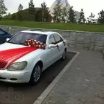 Аренда свадебных автомобилей Mersedes-Benz S500 белого цвета.