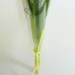 Тюльпаны по оптовой цене(только 3 дня)Сделай предзаказ на 8 марта!!!