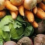Картофель,  лук,  морковь,  капусту куплю оптом 