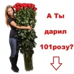 Заказать 101 розу для своей девушки