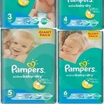 жаялықтары Pampers,  крупный опт от 8000 упаковок,  памперсы,  подгузники