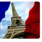 Обучение французскому языку в языковом центре 