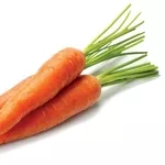 Морковь урожая 2016,  оптом из РБ по выгодной цене!