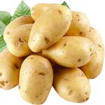 Картофель урожая 2016,  оптом от 20 тонн из РБ по выгодной цене!