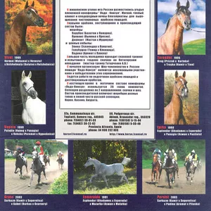 horses for sale,  лошади на продажу