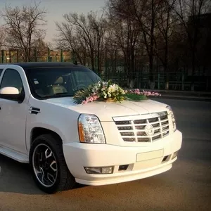 Аренда лимузина Cadillac Escalade белого цвета для свадьбы 