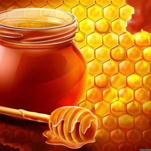 Продам оптом мёд алтайский