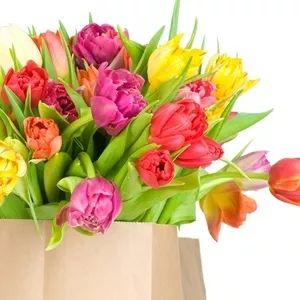 Голландские тюльпаны на 8 марта! 