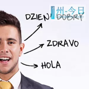 Требуются переводчики-профессионалы разных иностранных языков