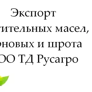 Экспорт растительных масел,  зерновых и шрота от ТД Русагро в РК
