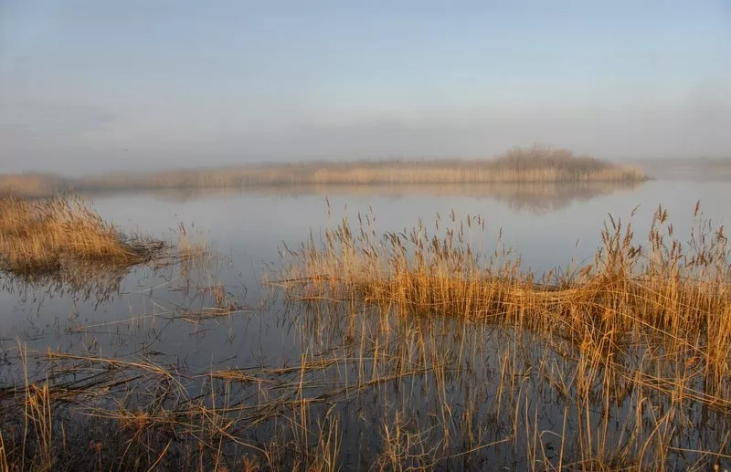 Водная экологическая тропа в Коргалжынском заповеднике 3