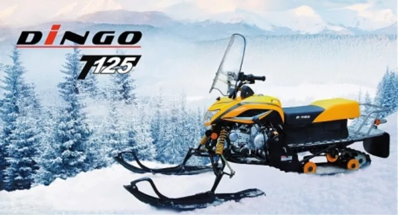 Продам снегоходы DINGO T-125