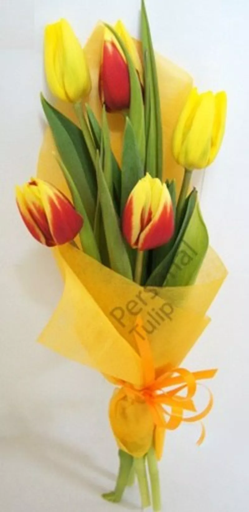 Тюльпаны по оптовой цене(только 3 дня)Сделай предзаказ на 8 марта!!! 2