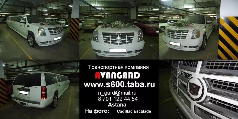Транспортная компания Avangard - авто для лучшей свадьбы. 15