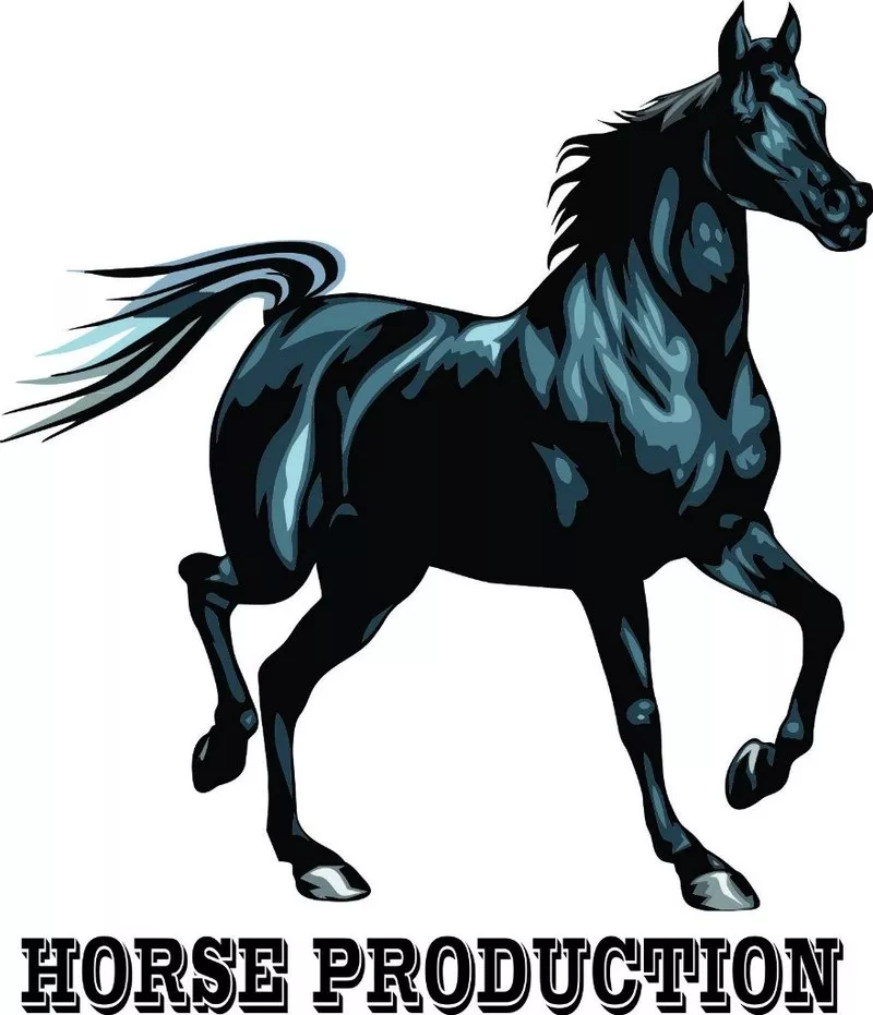 “HorsePRO” – event-агентство премиум-класса.