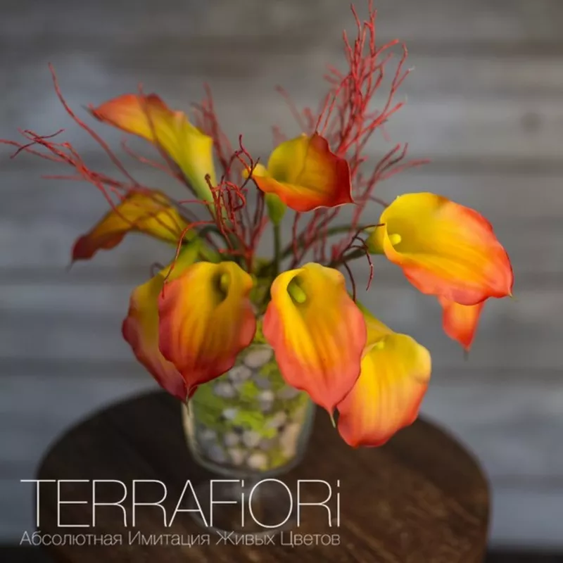 Terra Fiori / Терра Фиори 7