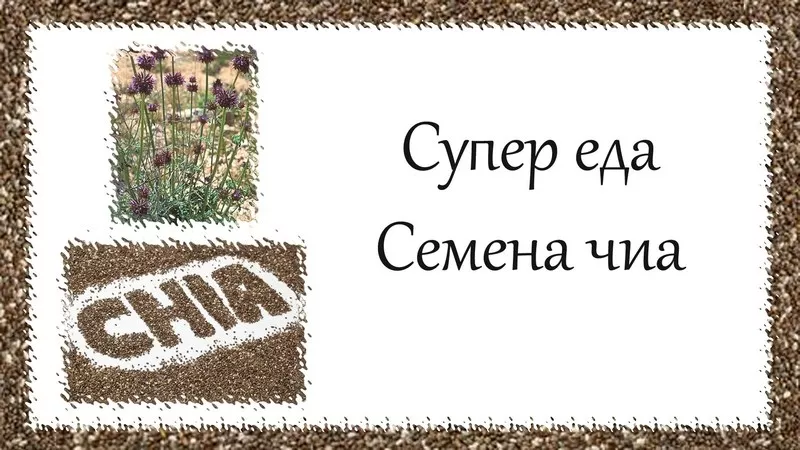 Семена Чиа в Астане. Купить семена Чиа в Казахстане. 500 грамм 2