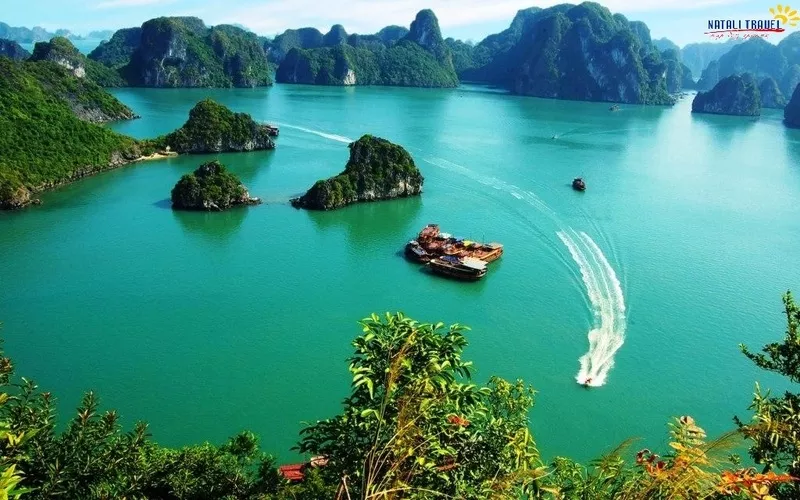 отдых и туры во Вьетнам