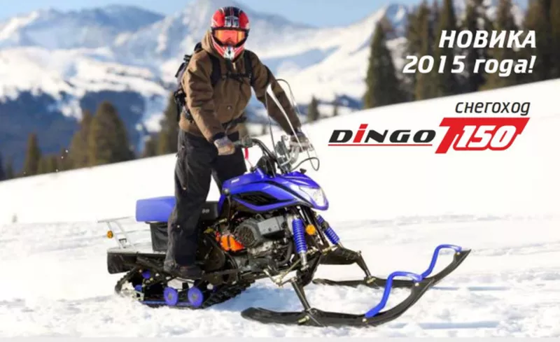Разборный снегоход Irbis Dingo T150