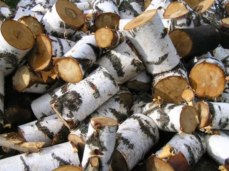 Продаю дрова березовые(чуркованные, сухие) 35-50см куб-8000тг 