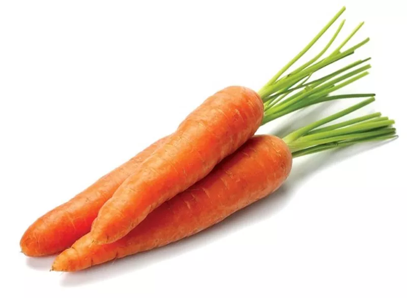 Морковь урожая 2016,  оптом из РБ по выгодной цене!