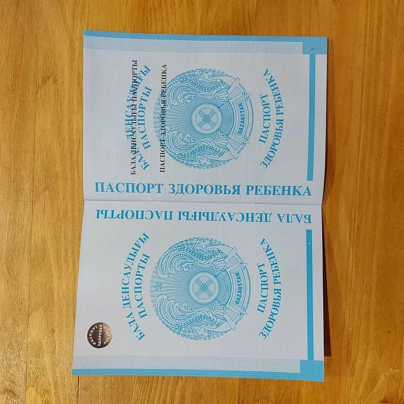 Паспорт Здоровья Ребенка. Бала Денсаулығы Паспорты. Форма 026. Синий. 2