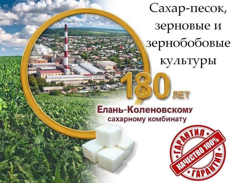 Сахар-песок,  зерновые и зернобобовые культуры в Казахстане