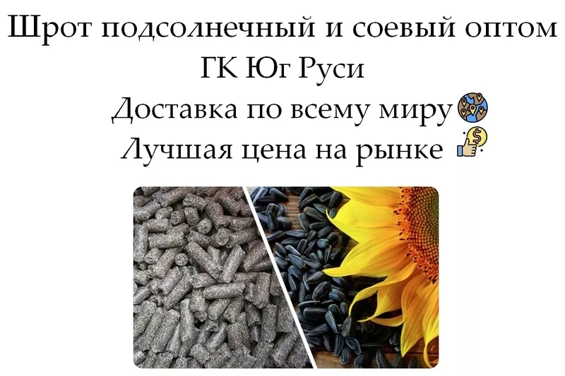 Шрот подсолнечный и соевый оптом в Казахстане от ГК Юг Руси