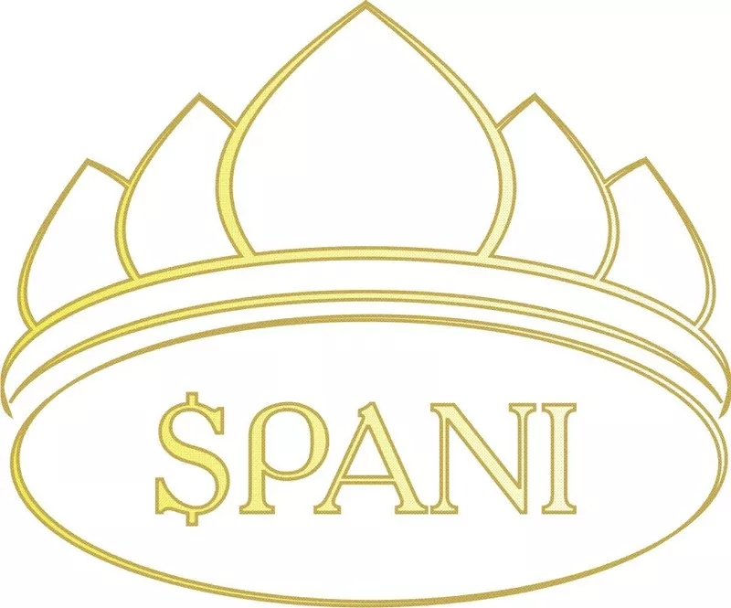 SPANI (СПАНИ) - профессиональная салонная косметика и технологии 